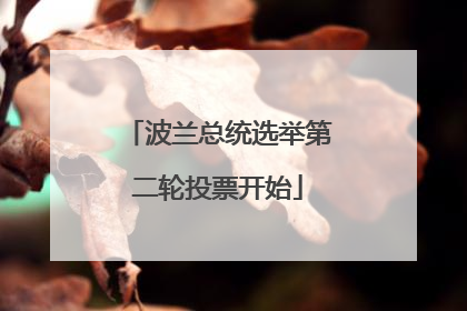 波兰总统选举第二轮投票开始