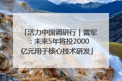 活力中国调研行｜雷军：未来5年将投2000亿元用于核心技术研发