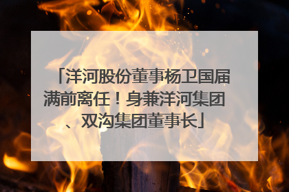 洋河股份董事杨卫国届满前离任！身兼洋河集团、双沟集团董事长