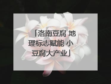 洛南豆腐 地理标志赋能 小豆腐大产业