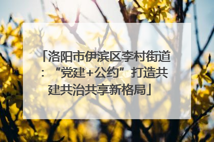 洛阳市伊滨区李村街道：“党建+公约”打造共建共治共享新格局