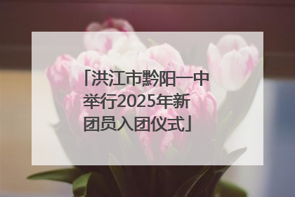 洪江市黔阳一中举行2025年新团员入团仪式