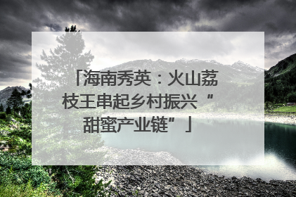 海南秀英：火山荔枝王串起乡村振兴“甜蜜产业链”