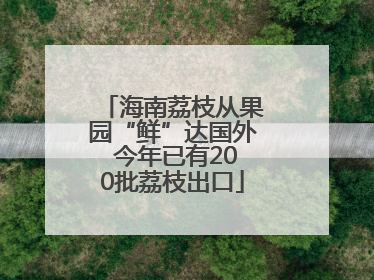 海南荔枝从果园“鲜”达国外 今年已有200批荔枝出口
