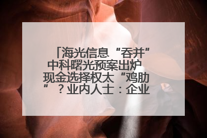 海光信息“吞并”中科曙光预案出炉 现金选择权太“鸡肋”？业内人士：企业不想大量现金流出