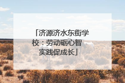 济源济水东街学校：劳动砺心智 实践促成长