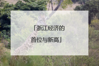 浙江经济的首位与新高