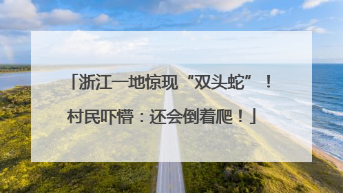 浙江一地惊现“双头蛇”!村民吓懵:还会倒着爬!