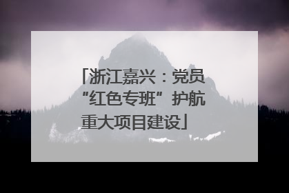 浙江嘉兴：党员“红色专班”护航重大项目建设