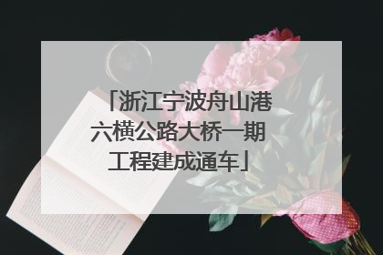 浙江宁波舟山港六横公路大桥一期工程建成通车