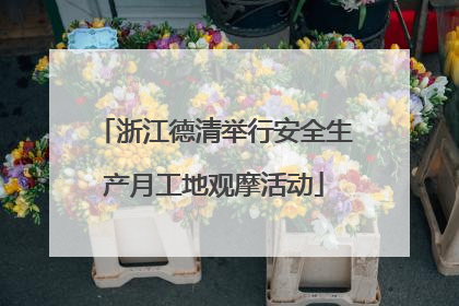 浙江德清举行安全生产月工地观摩活动