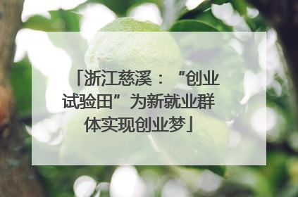 浙江慈溪：“创业试验田”为新就业群体实现创业梦
