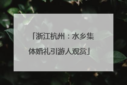 浙江杭州：水乡集体婚礼引游人观赏