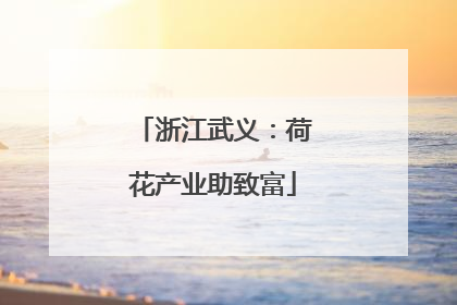 浙江武义：荷花产业助致富
