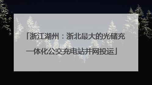 浙江湖州：浙北最大的光储充一体化公交充电站并网投运