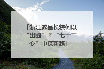 浙江遂昌长粽何以“出圈”？“七十二变”中探新路