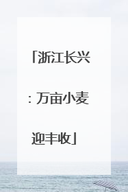 浙江长兴：万亩小麦迎丰收