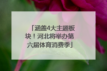 涵盖4大主题板块！河北将举办第六届体育消费季
