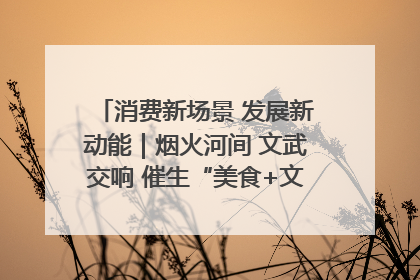 消费新场景 发展新动能｜烟火河间 文武交响 催生“美食+文化”消费新场景