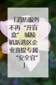 消防服务不再“开盲盒” 城陵矶新港区企业喜提专属“安全官”