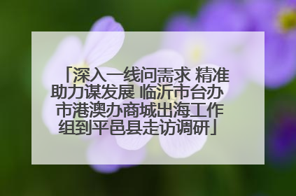 深入一线问需求 精准助力谋发展 临沂市台办 市港澳办商城出海工作组到平邑县走访调研