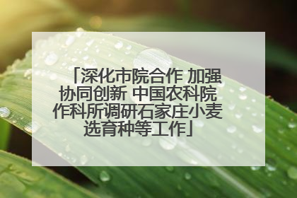 深化市院合作 加强协同创新 中国农科院作科所调研石家庄小麦选育种等工作