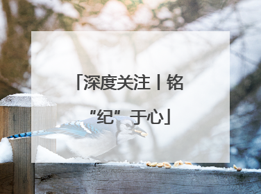 深度关注丨铭“纪”于心