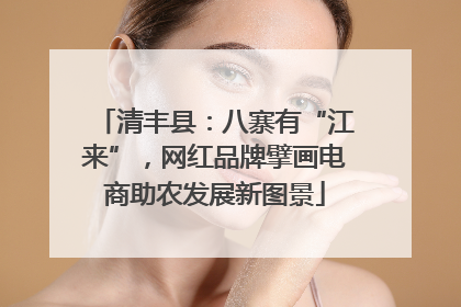 清丰县：八寨有“江来”，网红品牌擘画电商助农发展新图景