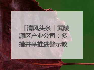 清风头条｜武陵源区产业公司：多措并举推进警示教育走深走实