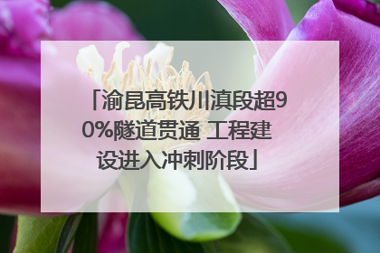 渝昆高铁川滇段超90%隧道贯通 工程建设进入冲刺阶段