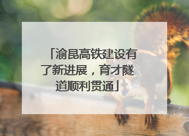 渝昆高铁建设有了新进展，育才隧道顺利贯通