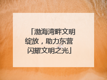 渤海湾畔文明绽放，助力东营闪耀文明之光