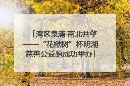 湾区泉涌·南北共擎——“花楸树”杯明湖慈善公益跑成功举办
