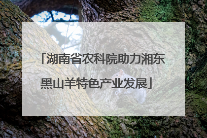 湖南省农科院助力湘东黑山羊特色产业发展