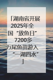 湖南省开展2025年全国“放鱼日” 7200多万尾鱼苗游入“一湖四水”