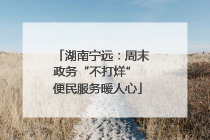 湖南宁远：周末政务“不打烊” 便民服务暖人心
