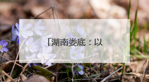 湖南娄底：以司法“绿盾”守护千年梯田