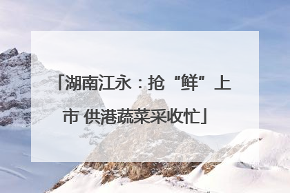 湖南江永：抢“鲜”上市 供港蔬菜采收忙