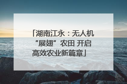 湖南江永：无人机“展翅”农田 开启高效农业新篇章