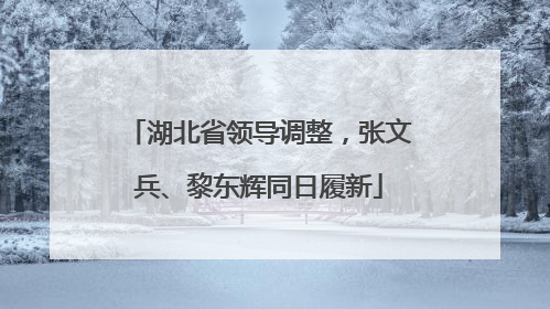 湖北省领导调整，张文兵、黎东辉同日履新