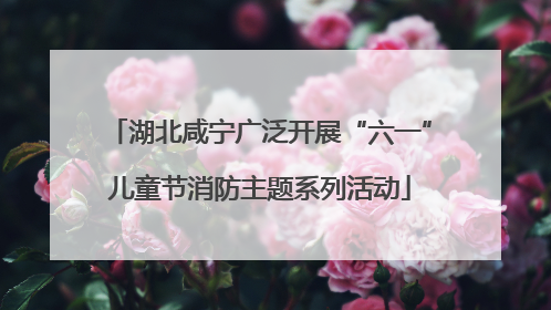 湖北咸宁广泛开展“六一”儿童节消防主题系列活动