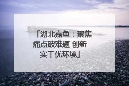 湖北嘉鱼：聚焦痛点破难题 创新实干优环境