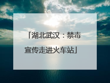 湖北武汉：禁毒宣传走进火车站