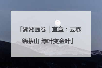 湖湘画卷｜宜章：云雾绕茶山 绿叶变金叶