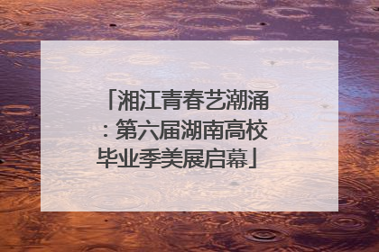 湘江青春艺潮涌：第六届湖南高校毕业季美展启幕