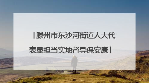 滕州市东沙河街道人大代表显担当实地督导保安康