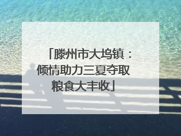 滕州市大坞镇：倾情助力三夏夺取粮食大丰收