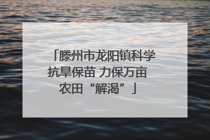 滕州市龙阳镇科学抗旱保苗 力保万亩农田“解渴”