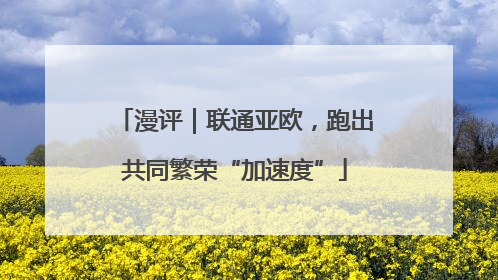漫评｜联通亚欧，跑出共同繁荣“加速度”