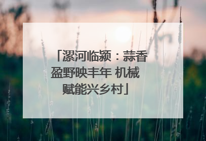 漯河临颍：蒜香盈野映丰年 机械赋能兴乡村